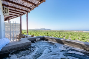 Classic Villa | Terrace/patio