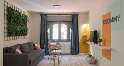 Beautiful accommodation in the center of León