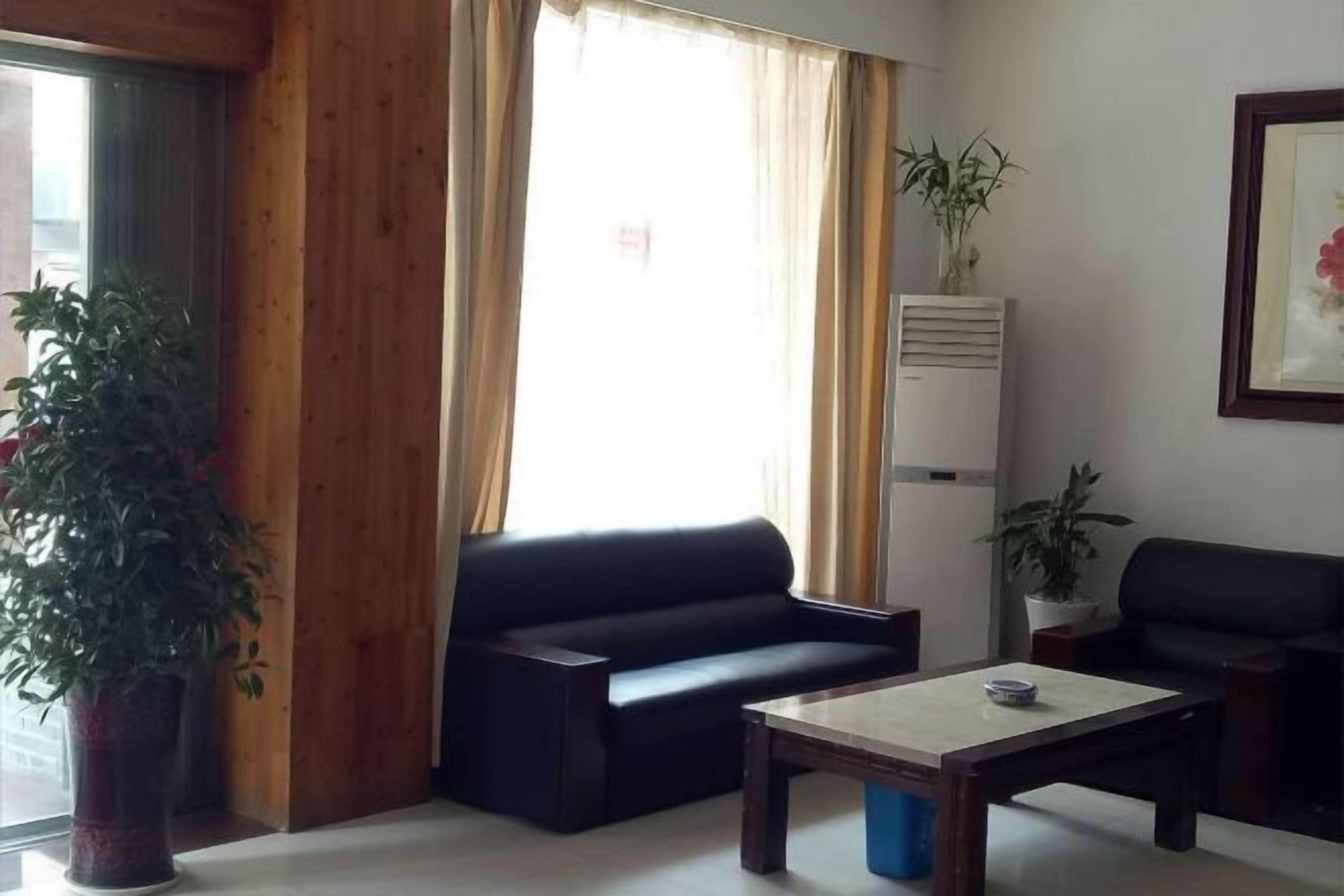A living room with a sofa, a coffee table, and a potted plant.