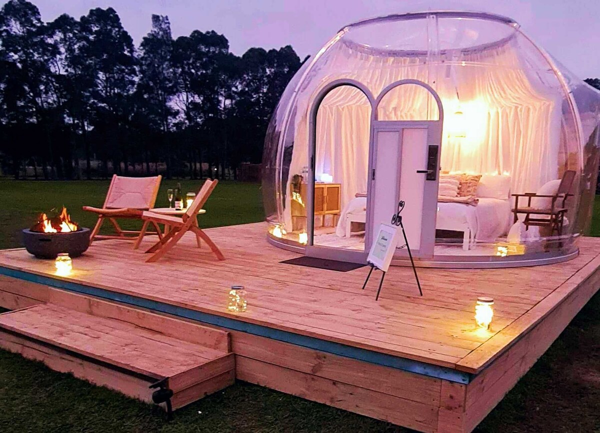 オーナーのプロフィール画像