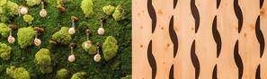 A wooden surface with a unique black pattern and a mossy green background with hanging keychains.