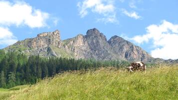 Un paysage de montagne avec une vache qui broute dans un champ d’herbe.