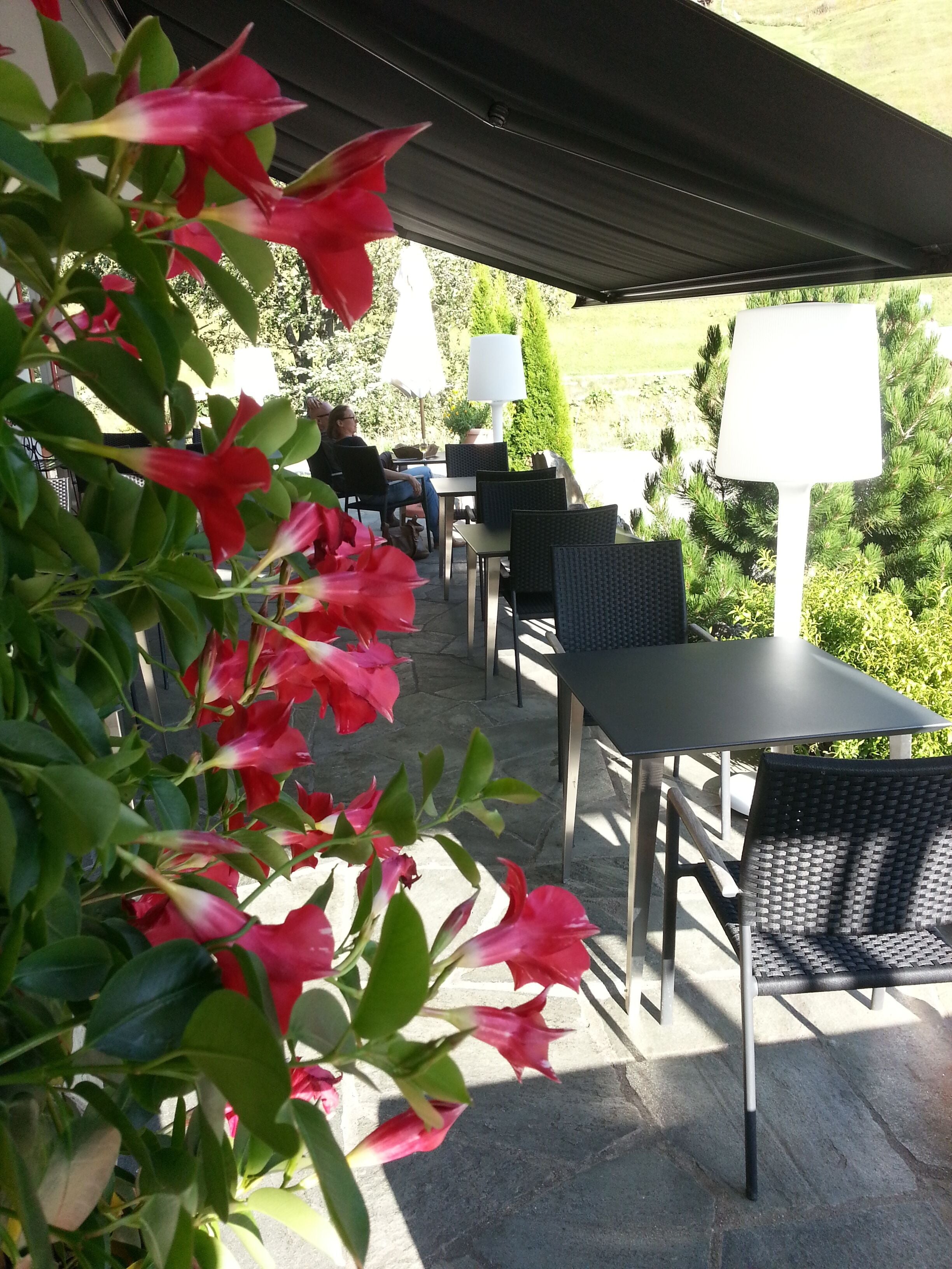 An outdoor patio area with tables and chairs, surrounded by greenery and a covered section.