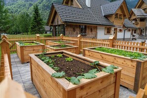 Terrein van de accommodatie