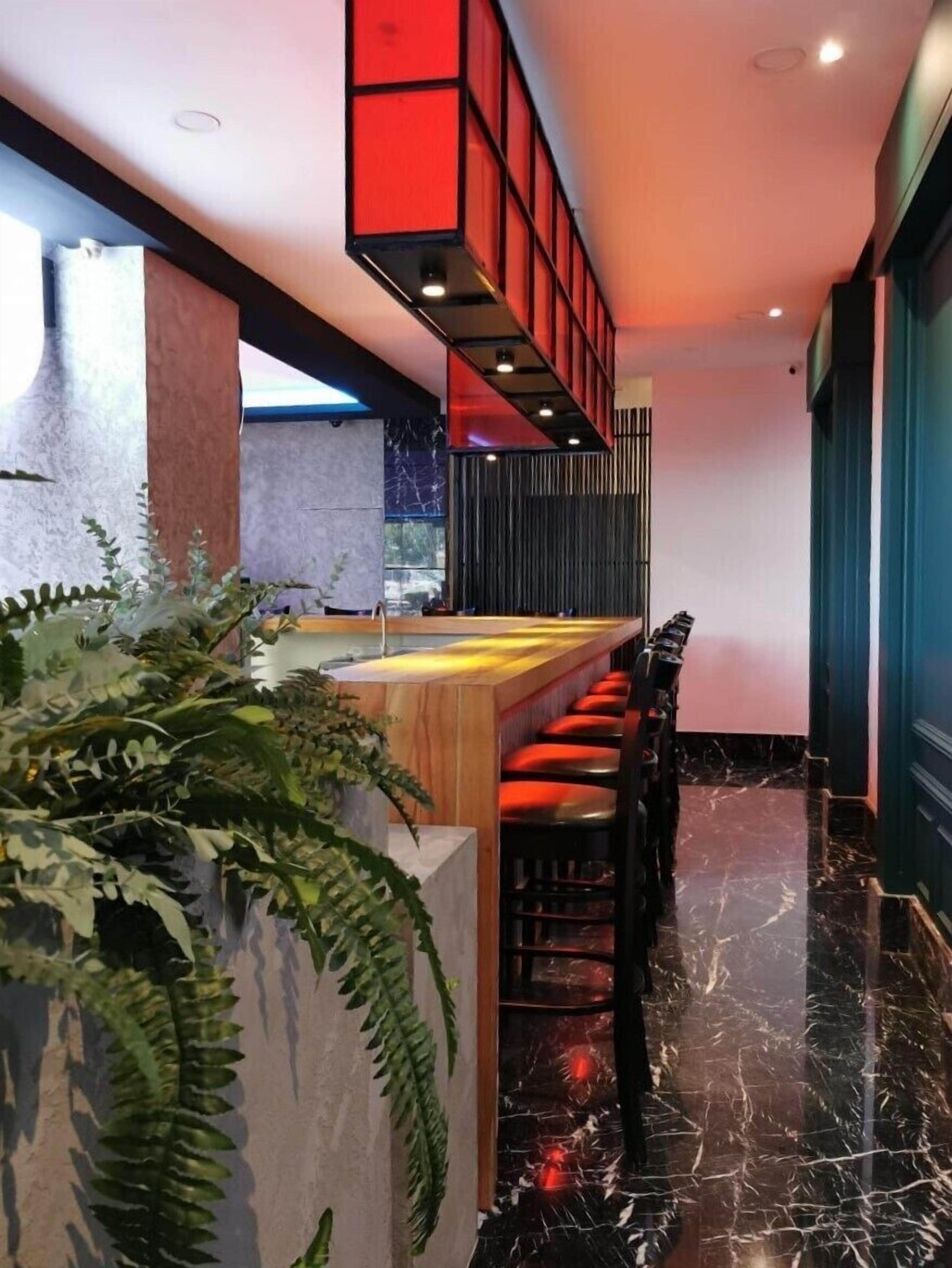 Un área de bar moderna con una barra de madera y taburetes rojos, una planta de helecho en maceta grande y un suelo de mármol negro.