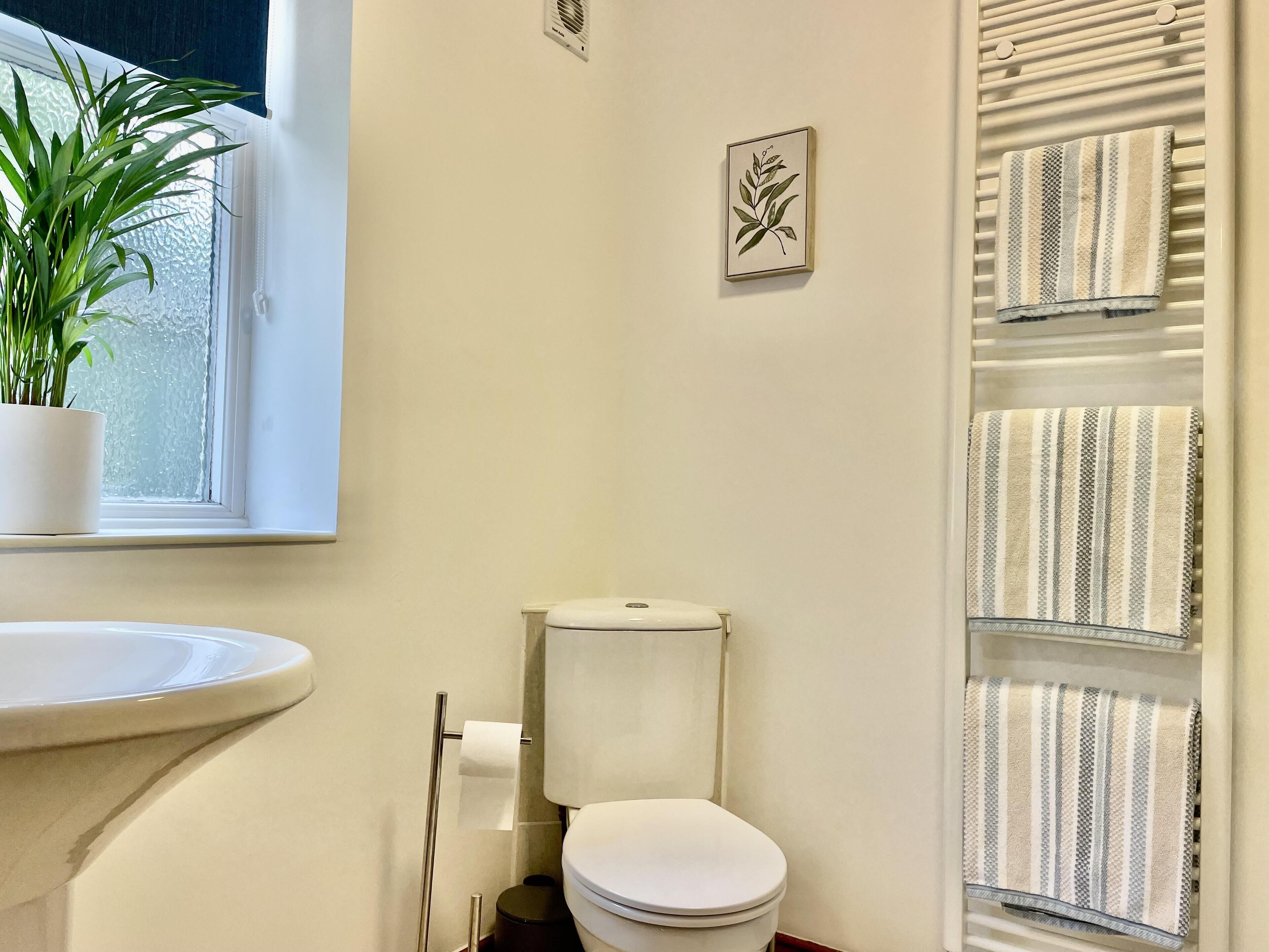 Une salle de bain avec des toilettes, un lavabo et une plante en pot près de la fenêtre.