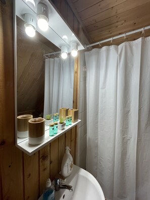 シャワー、タオル、石鹸、トイレットペーパー