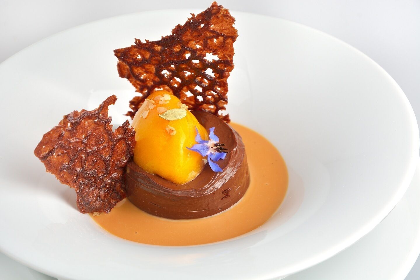 A dessert with a caramelized fruit and a chocolate sphere on a white plate.