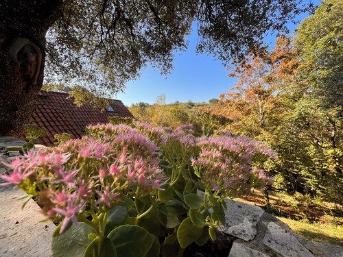 Charming, peaceful estate with private, heated, covered swimming pool.