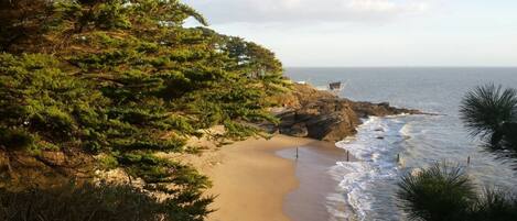 Ubicación cercana a la playa y tumbonas