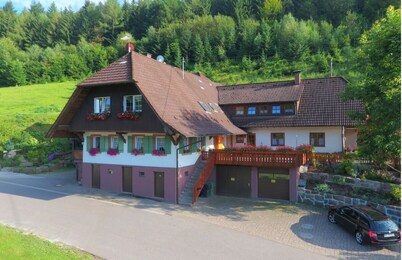 Fe.wo. a. d. Bauernhof Waldnähe Spielplatz Hundezw. gr. Swimmbad im Ort