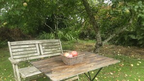 A wooden bench with a basket of apples and pears. - Tranquil Wood Cabin set in a Beautiful Orchard (Penzance)
