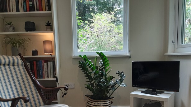 A living room with a striped armchair, a bookshelf, a potted plant, a television on a stand, and a window with a view of greenery. - Tranquil Wood Cabin set in a Beautiful Orchard (Penzance)