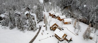 ALPIK Chalets - Bohinj - A1 - Duplex One-Bedroom Apartment with Balcony