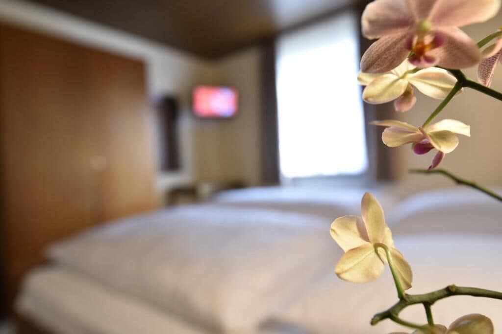 A hotel room with a bed, a television, and an orchid plant.