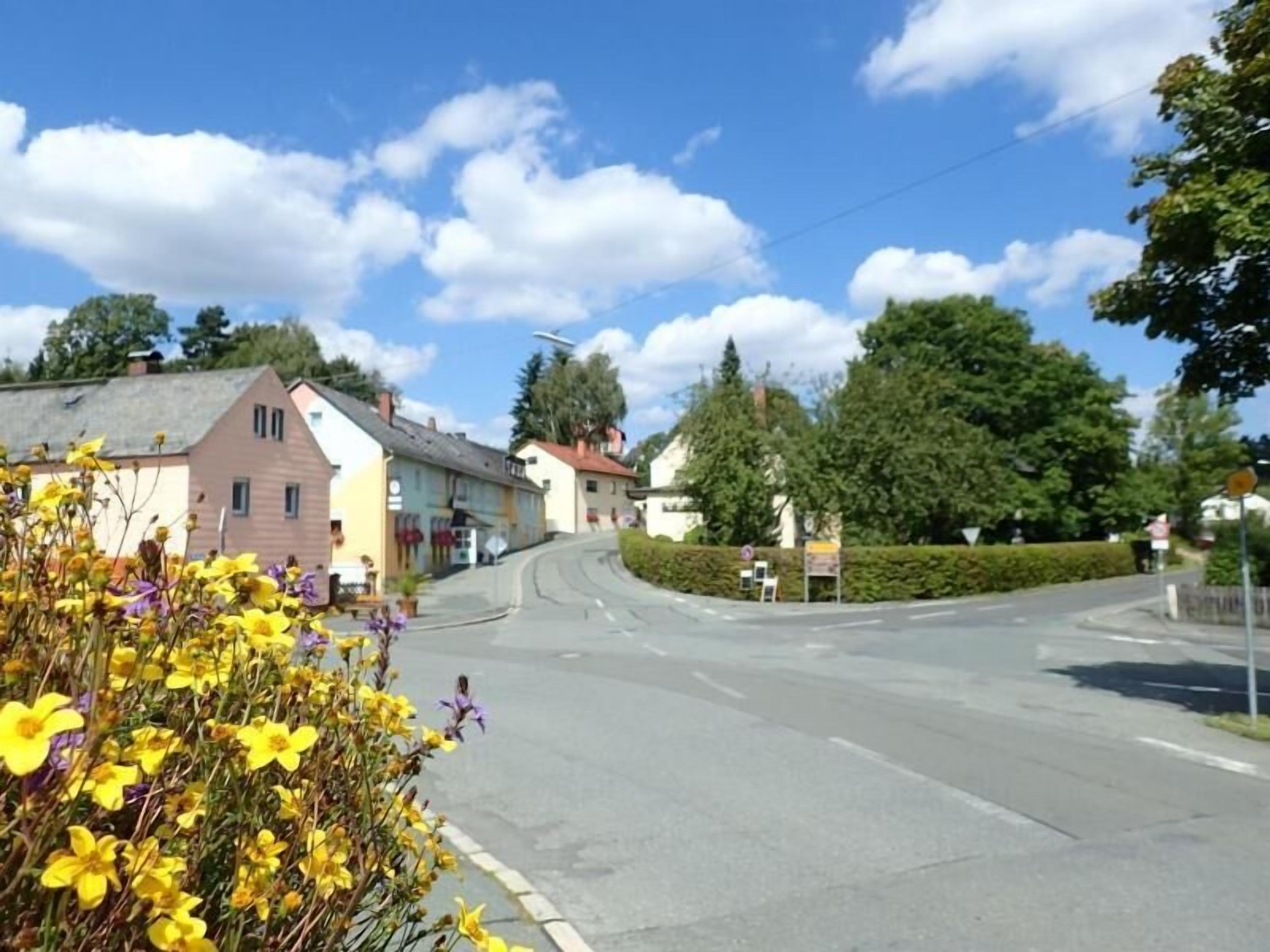 A street with buildings, a roundabout, and a hedge.