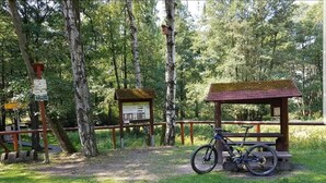 Ein Park mit einer Holzbank und einem Fahrrad, umgeben von Bäumen.