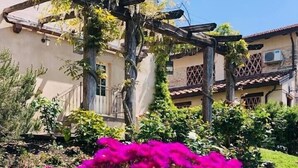 A garden with vibrant pink flowers in a large pot, surrounded by a house with a tiled roof and a balcony. - VILLAROSA SPICCIANO Exclusive Villa with pool (Fivizzano/Spicciano)