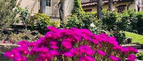 Detalle exterior