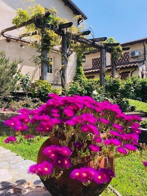 Exterior detail - VILLAROSA SPICCIANO Exclusive Villa with pool (Fivizzano/Spicciano)