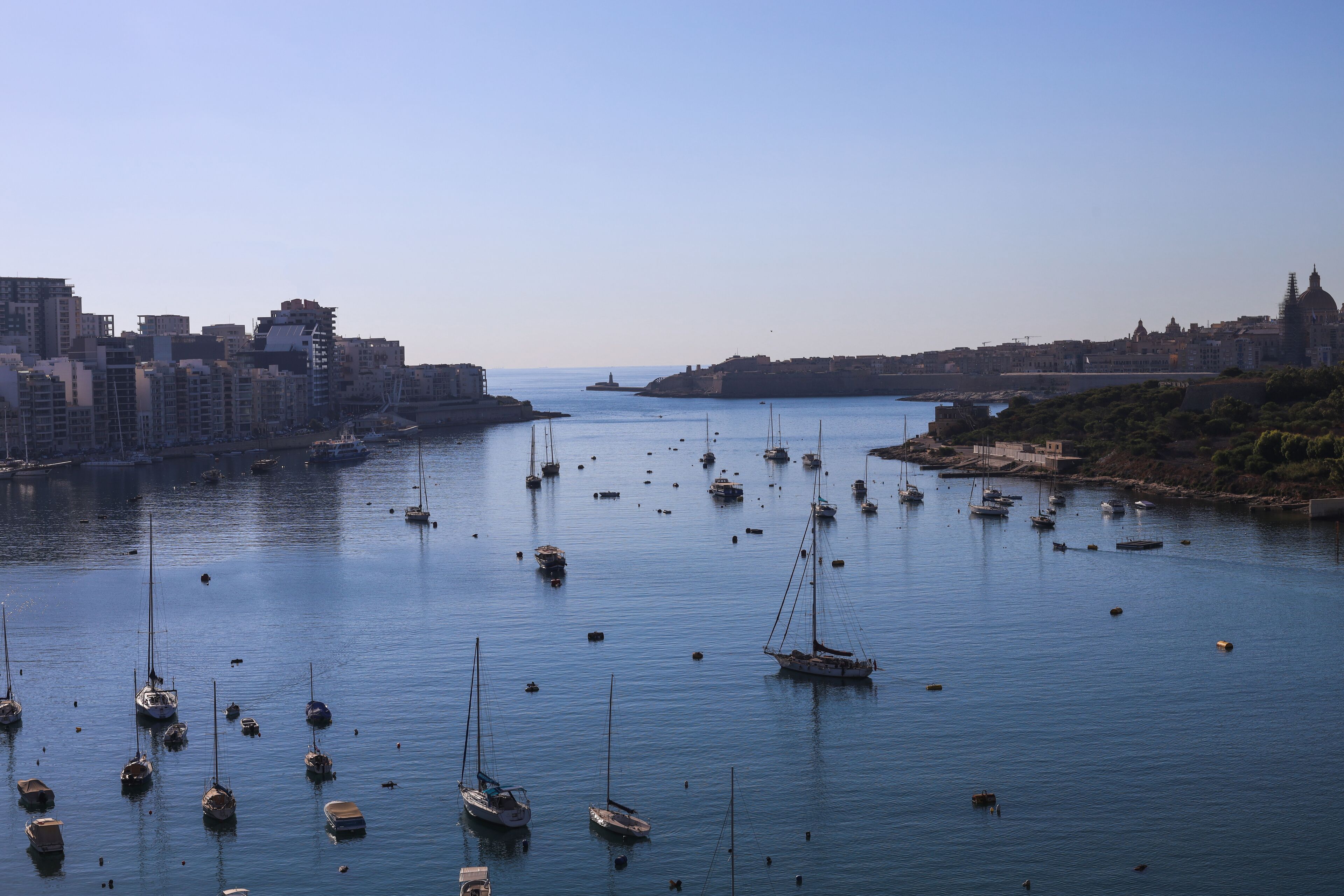 A harbor with numerous boats and a cityscape in the background.