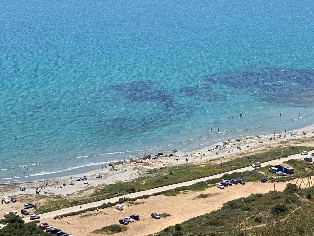 Playa en los alrededores 