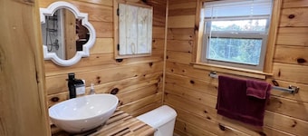 Lookout Loft: A tiny cabin with a ton of rustic charm!