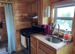 Fridge, microwave, oven, coffee/tea maker