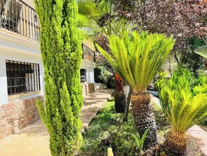 Stroll through the serene garden, surrounded by lush greenery and a stone pathway leading to the entrance.