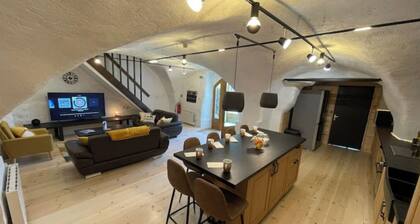 Gite of 400m2 with land, lounge bar and games room
