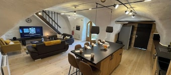 Gite of 400m2 with land, lounge bar and games room