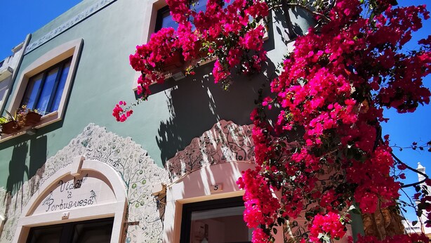 A building with a sign reading "Vida a Portuguesa" and a number "5" above the entrance. - Frutas do Mar apartamento (Portimão)