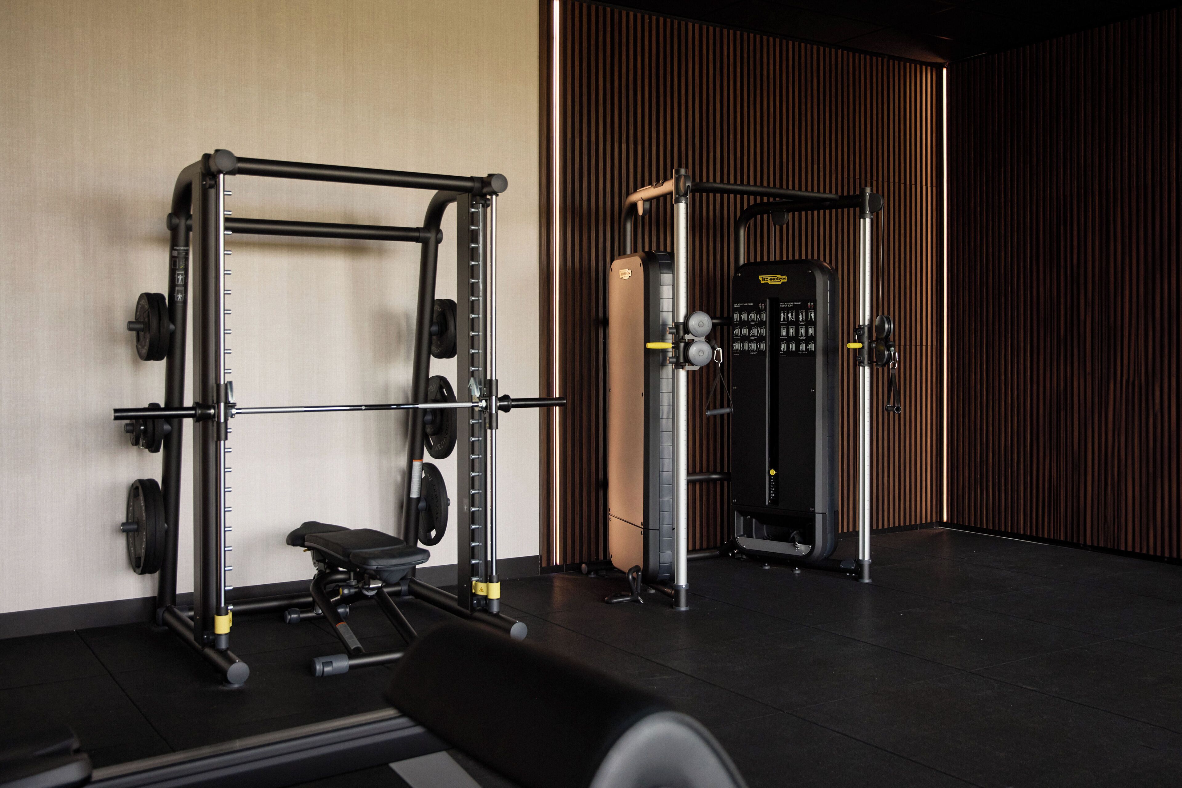 A gym with weightlifting equipment, a bench, and a squat rack.