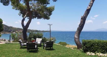 Gorgeous sea shore villa