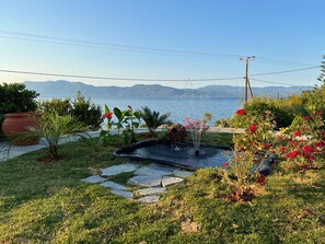 Property grounds - Gorgeous sea shore villa (Drosia)