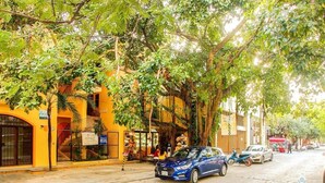 A street scene with a yellow building, a blue car parked on the side, and a tree-lined sidewalk. - Rooftop Terrace and Pool Near Mamitas Beach (Playa del Carmen)