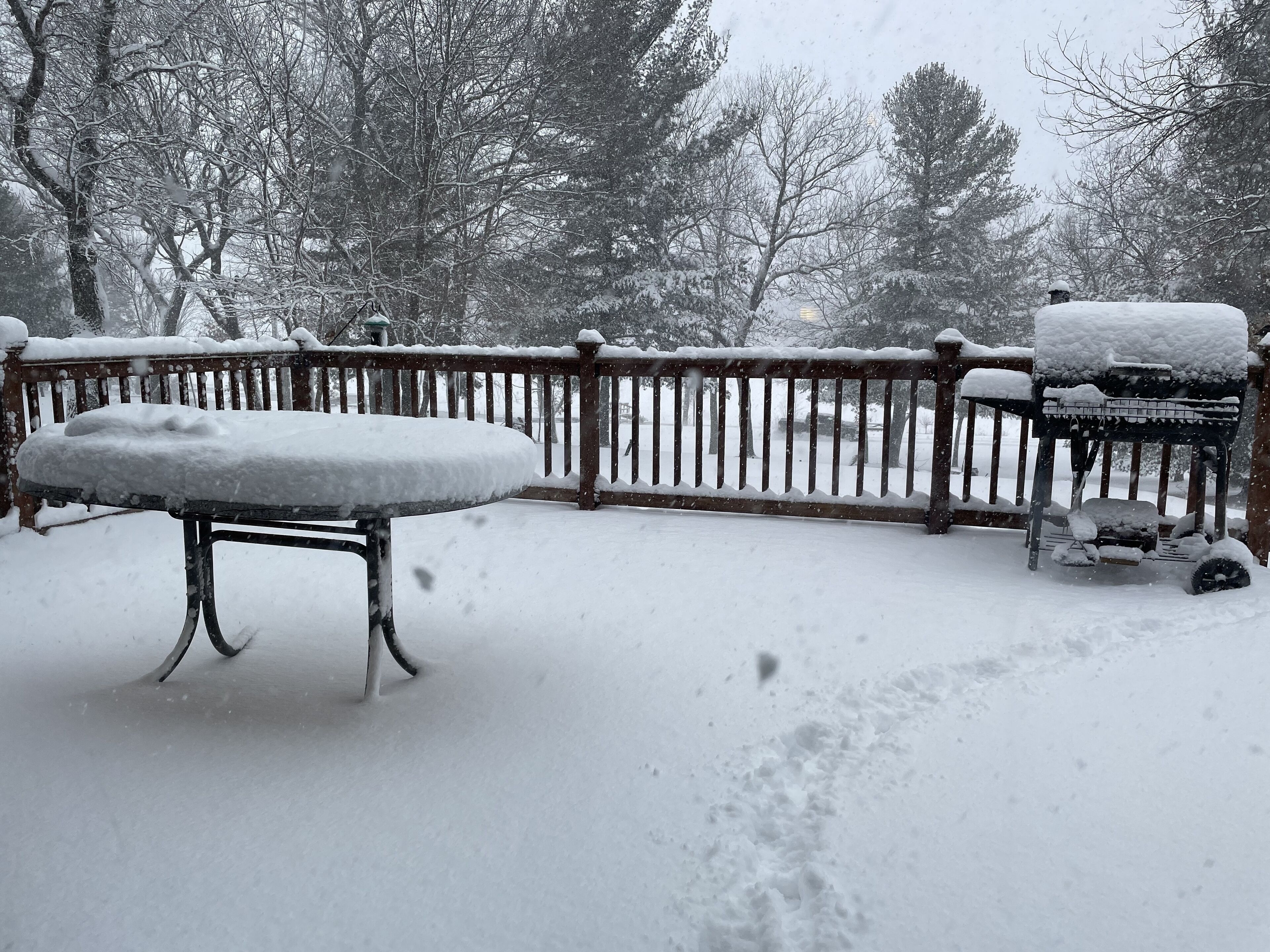 Waterfront cabin with hot tub