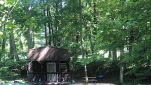 A small cabin with a porch, surrounded by dense forest and a pond. - Cabins in a Clearing: Walnut, Chestnut & Beech  - Check all three  (Logan)