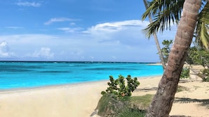 在海滩