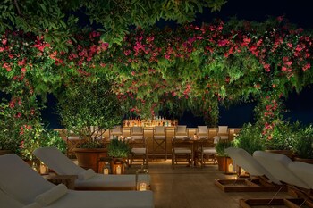 Garden at The Tampa EDITION
