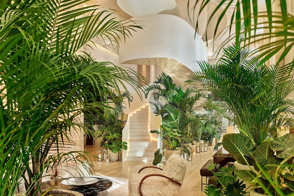 The Tampa EDITION by null The Tampa EDITION by null