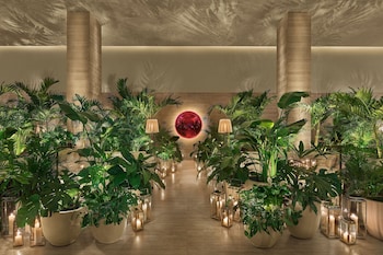 Hotel entrance and lobby at The Tampa EDITION