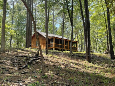 Secluded Cabin in the Woods, near Carolina Horse Park and Valkyrie Sporthorses