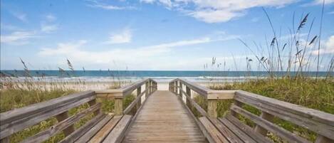 ビーチの近く、サンラウンジャー