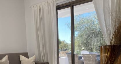 Phaedrus Living City Flat Androcleous