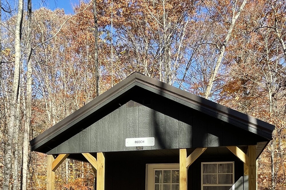 Cabins in a Clearing: Beech, Walnut & Chestnut - check all three