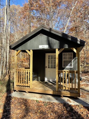 Cabins in a Clearing: Beech, Walnut & Chestnut - check all three