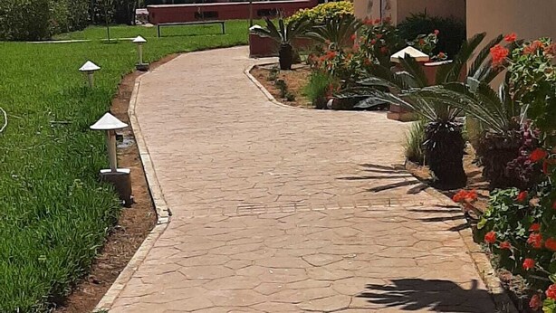 Un camino pavimentado con baldosas hexagonales, bordeado por césped verde y plantas con flores.