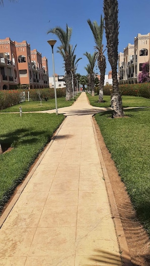 A paved pathway flanked by palm trees and greenery, leading to a row of buildings with balconies and a clear blue sky.
