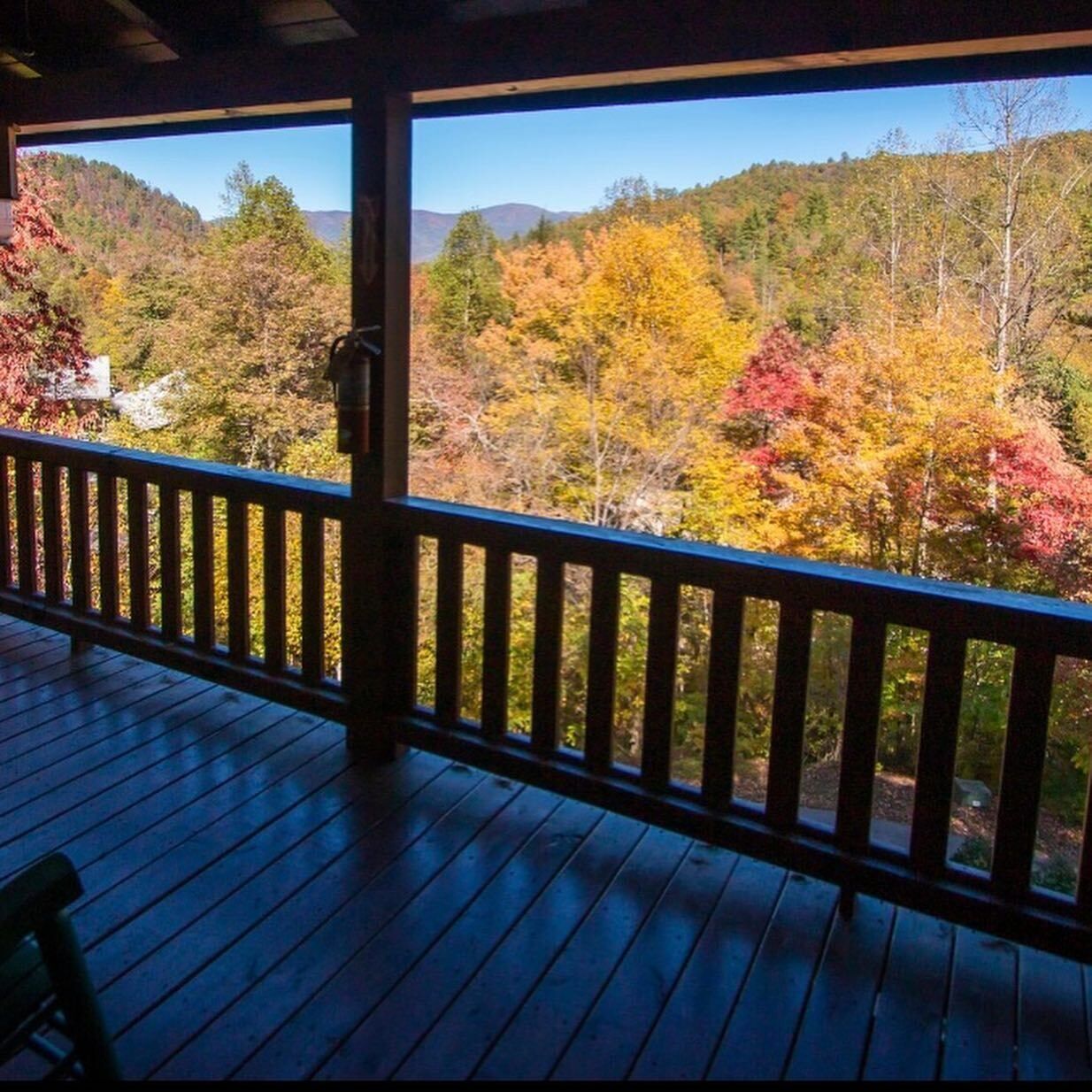 Hawg Hideaway, near ‘Tail of the Dragon’ & Deals Gap
